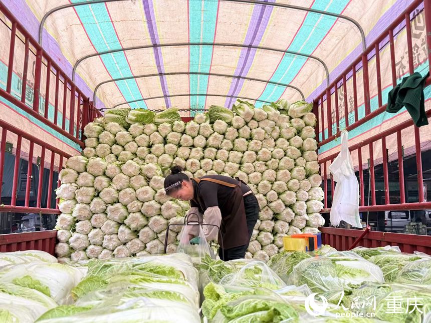 									守護(hù)“菜籃子”的人					臘月二十三，北方小年天，忙前忙后備年貨，辭舊迎新盼過年。　　春節(jié)將至，眼下正是市民忙著儲(chǔ)備春節(jié)年貨的重要時(shí)候。作為重慶最大的農(nóng)產(chǎn)品批發(fā)市場，江津雙福國際農(nóng)貿(mào)城扮演著重慶“菜籃子”“果盤子”“肉案子”的角色。1月22日，記者驅(qū)車前往農(nóng)貿(mào)城，探訪重慶市民的“菜籃子”拎得穩(wěn)不穩(wěn)？				