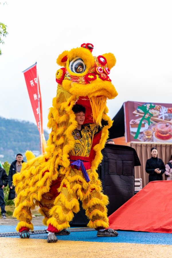 瑞獸金獅表演。開州區(qū)委宣傳部供圖