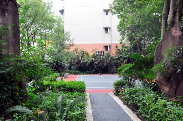 北碚區(qū)朝陽街道龍江花園小區(qū)“口袋公園”。韋玉婷攝