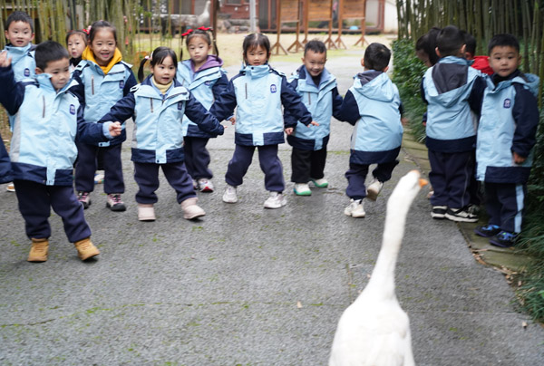 江津區(qū)海匯幼兒園以“生命教育”為主題，開展開學(xué)第一課，通過扮演繪本角色、“蛋寶寶守護(hù)者”、與鵝嬉戲等探索生命奧秘，繪就成長(zhǎng)藍(lán)圖。海匯幼兒園供圖