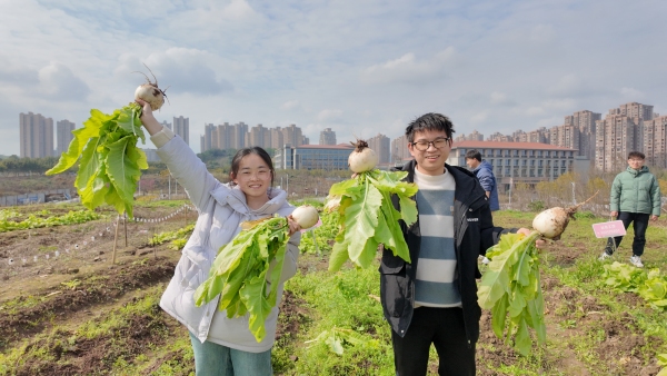 采摘現(xiàn)場。重慶理工大學供圖