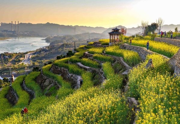 金鰲田園美麗風(fēng)光。大渡口區(qū)文旅委供圖