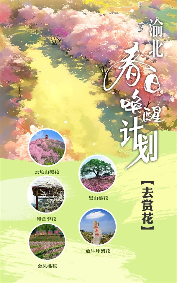“去賞花”計劃。渝北區(qū)文化旅游委供圖