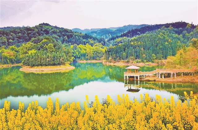 四川省瀘縣道林溝景區(qū)一角。受訪(fǎng)者供圖