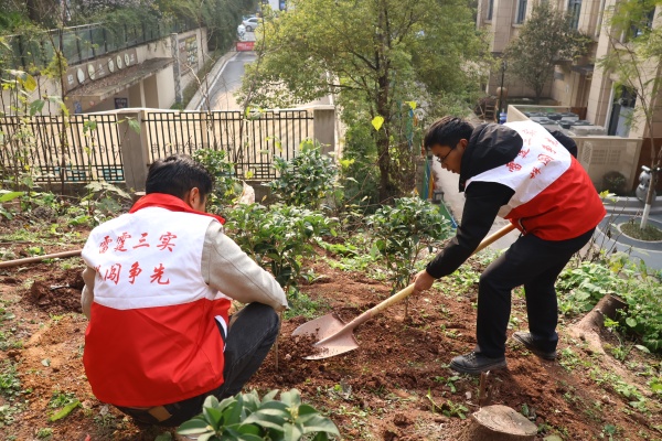 青年志愿者開展義務(wù)植樹活動(dòng)。受訪者供圖