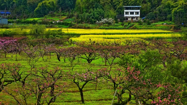 太和美景。任峰攝