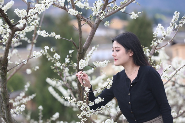游客在李園觀賞李花。盧先慶攝
