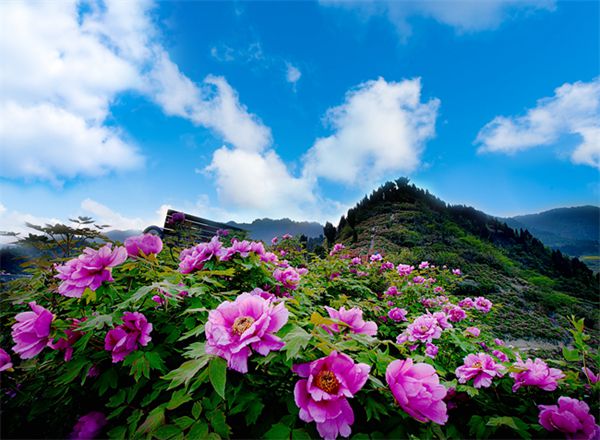 墊江愷之峰旅游區(qū)。墊江縣委宣傳部 供圖