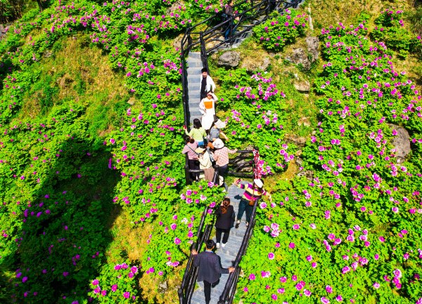 愷之峰旅游區(qū)。龔長(zhǎng)浩攝