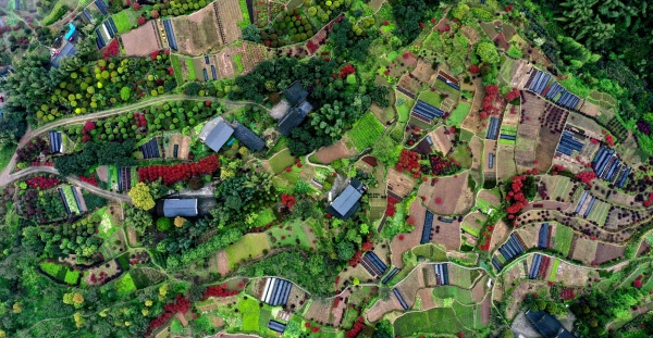 太公山七彩梯田。江津區(qū)委宣傳部供圖