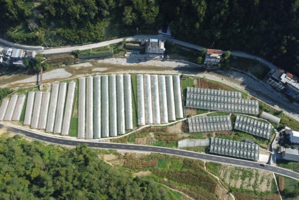 咸宜村興隆壩蔬菜種植基地。咸宜鎮(zhèn)供圖