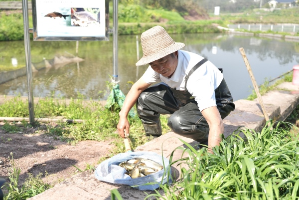 大竹溪村村民谷山水捕撈乳魚。陳欣薇攝