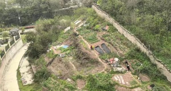 興家路邊坡清理前。李家沱街道供圖