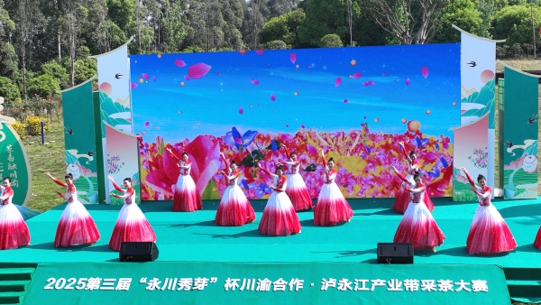 活動現(xiàn)場。陳仕川攝