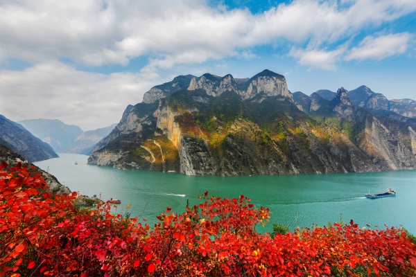 巫山紅葉。巫山縣委宣傳部供圖