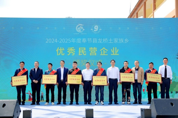 為優(yōu)秀民營企業(yè)頒獎。主辦方供圖