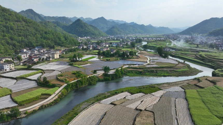 溶溪鎮(zhèn)紅光社區(qū)田園景色。胡程攝