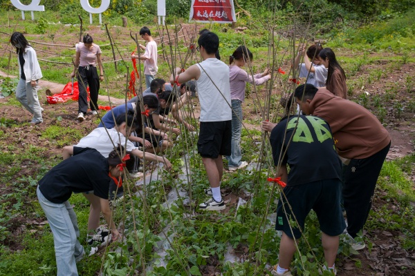 材料科學與工程學院學生在搭建農(nóng)作物架子。重慶理工大學供圖