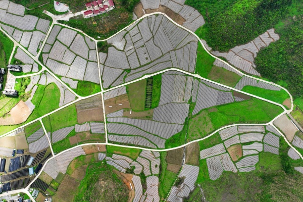 涂市鎮(zhèn)銀嶺村春耕場景。陳碧生攝