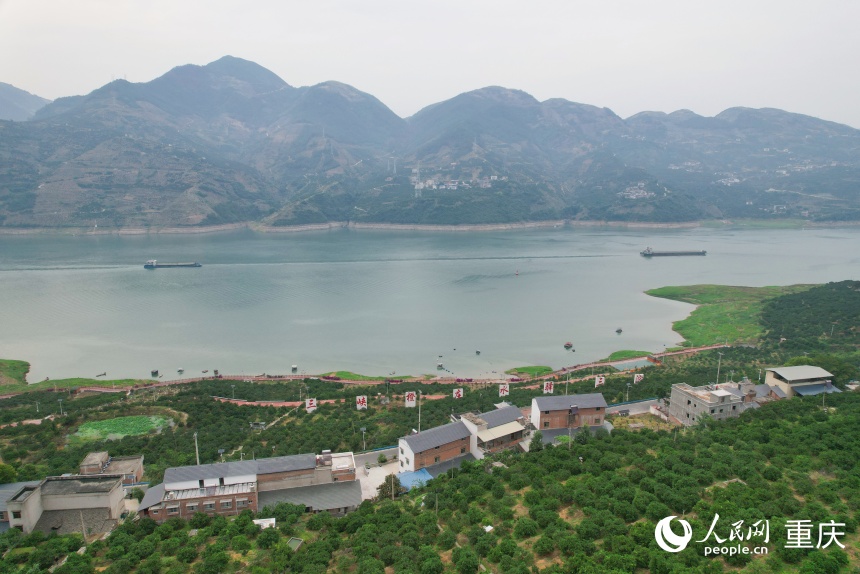 位于長江上游南岸的三沱村。人民網(wǎng)記者 劉政寧攝