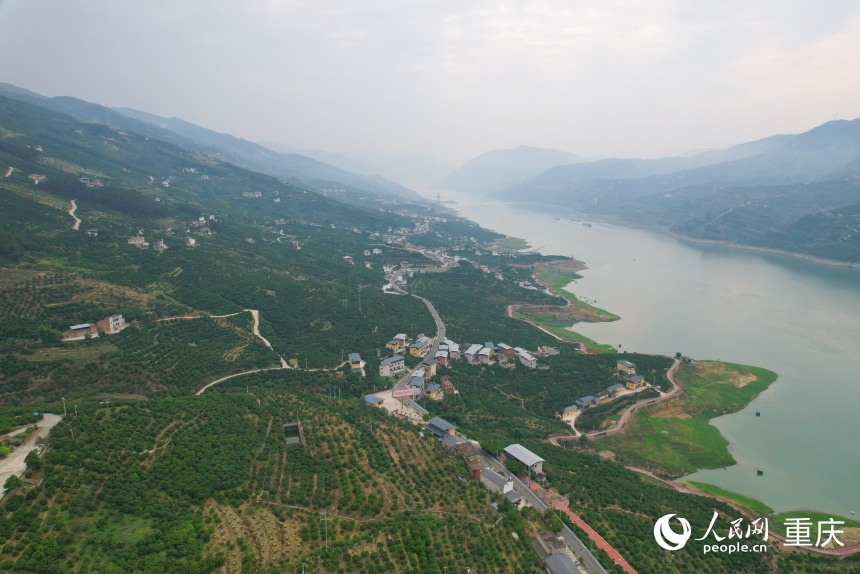位于長江上游南岸的三沱村。人民網(wǎng)記者 劉政寧攝