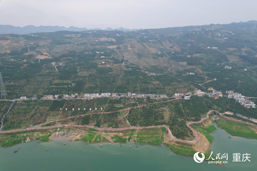 位于長江上游南岸的三沱村。人民網(wǎng)記者 劉政寧攝