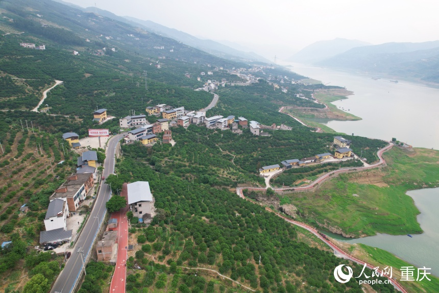 三沱村通過臍橙產(chǎn)業(yè)生動踐行了“兩山”理念的轉(zhuǎn)化路徑。人民網(wǎng)記者 劉政寧攝