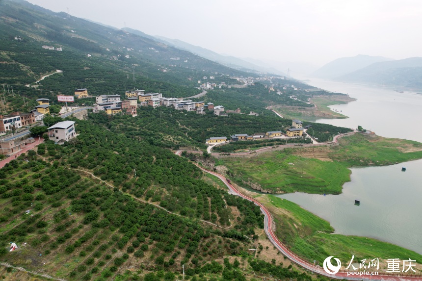 豐都縣安坪鎮(zhèn)三沱村。人民網(wǎng)記者 劉政寧攝
