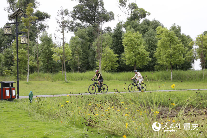 在雙桂湖國家濕地公園內(nèi)騎行的游客。人民網(wǎng) 曹欣悅攝