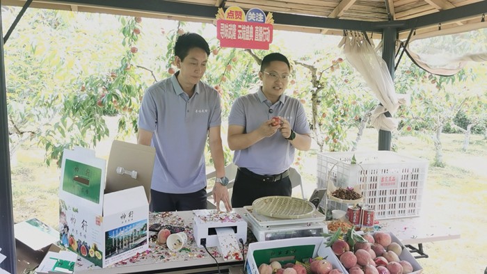 “尋味武隆·云端盛宴”鄉(xiāng)村振興公益直播月啟幕。通訊員 石曉紅 攝