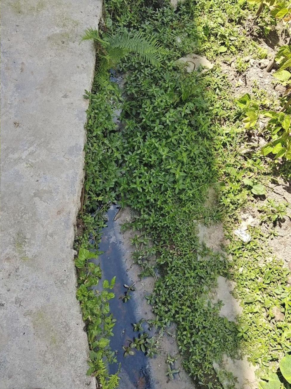 村莊污水橫流。生態(tài)環(huán)境部供圖