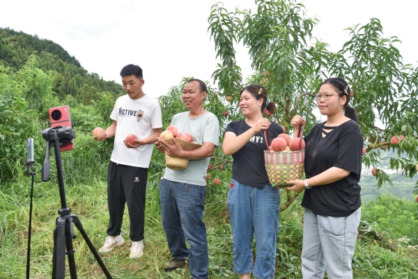 主播們正在云陽縣渠馬鎮(zhèn)促進村桃園直播售賣晚桃。渠馬鎮(zhèn)供圖