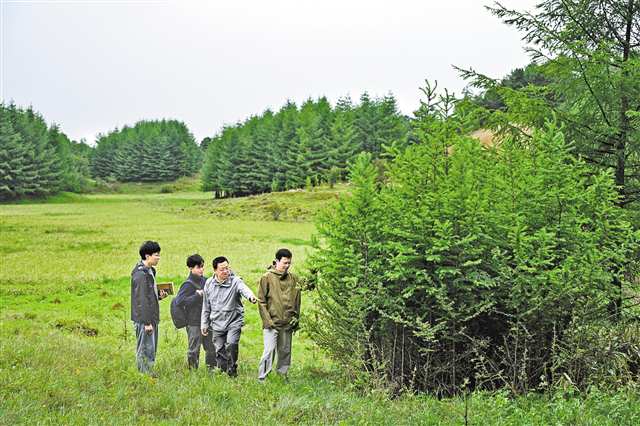 7月2日，重慶雪寶山國(guó)家級(jí)自然保護(hù)區(qū)十里坪，保護(hù)區(qū)工作人員介紹日本落葉松帶來的煩惱。記者 張春曉 攝/視覺重慶
