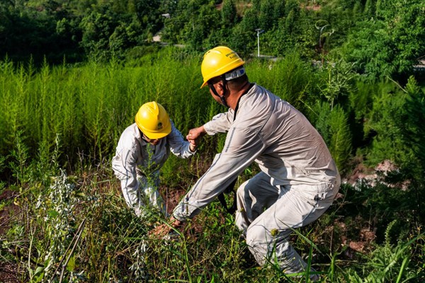 電力人員翻山越嶺巡檢線路。國網(wǎng)重慶永川供電公司供圖