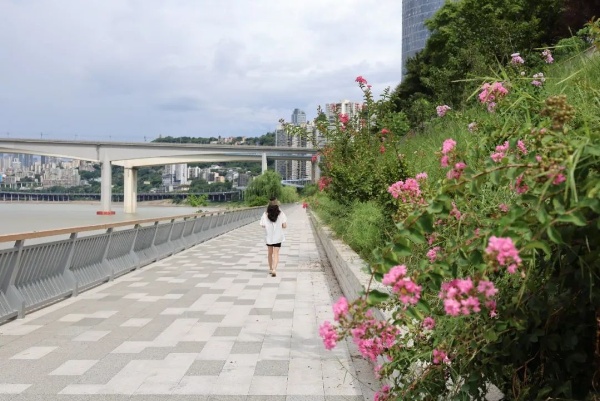 “兩江四岸”治理提升嘉濱路化龍橋段項(xiàng)目。重慶設(shè)計(jì)集團(tuán)有限公司市政設(shè)計(jì)研究院供圖