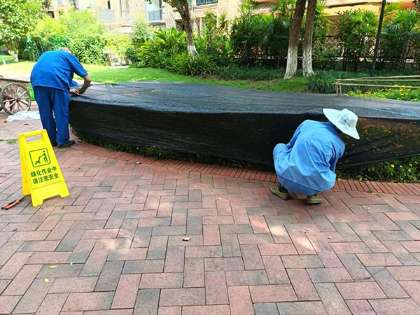 抗旱護(hù)綠行動。招商積余重慶公司供圖