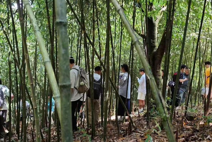 活動現(xiàn)場。主辦方供圖