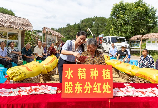 村民變“股民” 閑地變“金田”