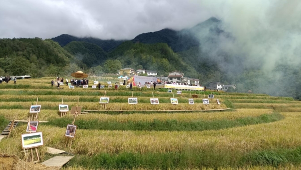 “全民曬豐收”攝影展。羅意攝