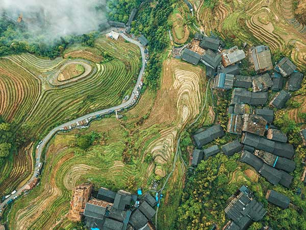 助力鄉(xiāng)村振興。廣發(fā)銀行重慶分行供圖