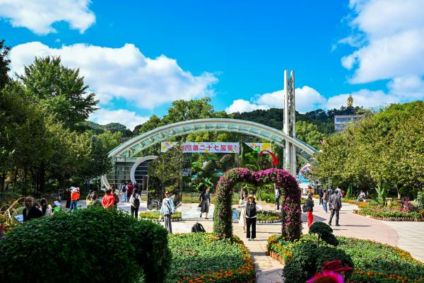 菊花展在南山植物園開展。崔景印攝