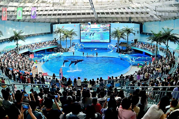 老友出行計(jì)劃。東原仁知供圖