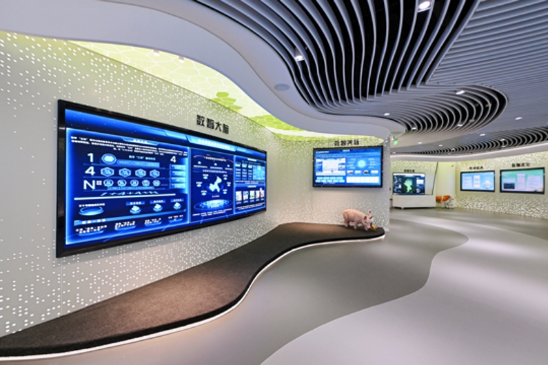 研究院展廳一角。主辦方供圖