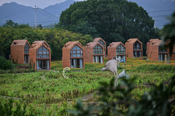 將軍村掠影。主辦方供圖