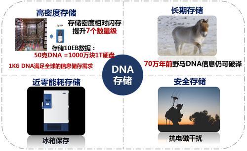 DNA存儲(chǔ)技術(shù)及其優(yōu)勢(shì)示意圖。西研院供圖