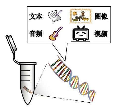 DNA數(shù)據(jù)存儲(chǔ)技術(shù)示意圖。西研院供圖